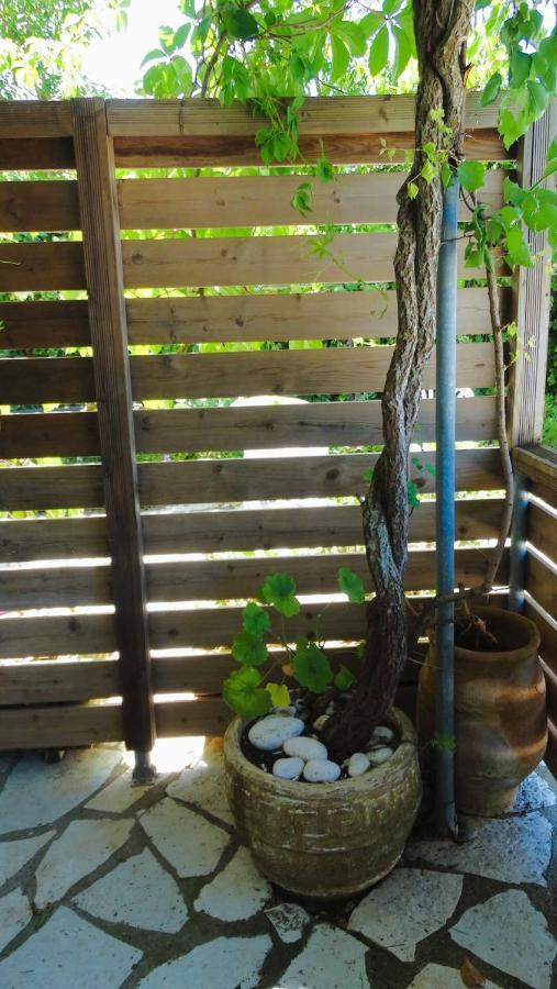 Agrambeli Rooms & Apartments Lefkada City Bagian luar foto